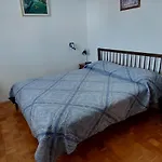 Duda Pola