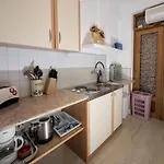 Duda Pola